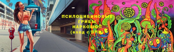 ГАЛЛЮЦИНОГЕННЫЕ ГРИБЫ Надым