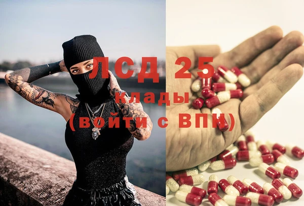 ГАЛЛЮЦИНОГЕННЫЕ ГРИБЫ Надым