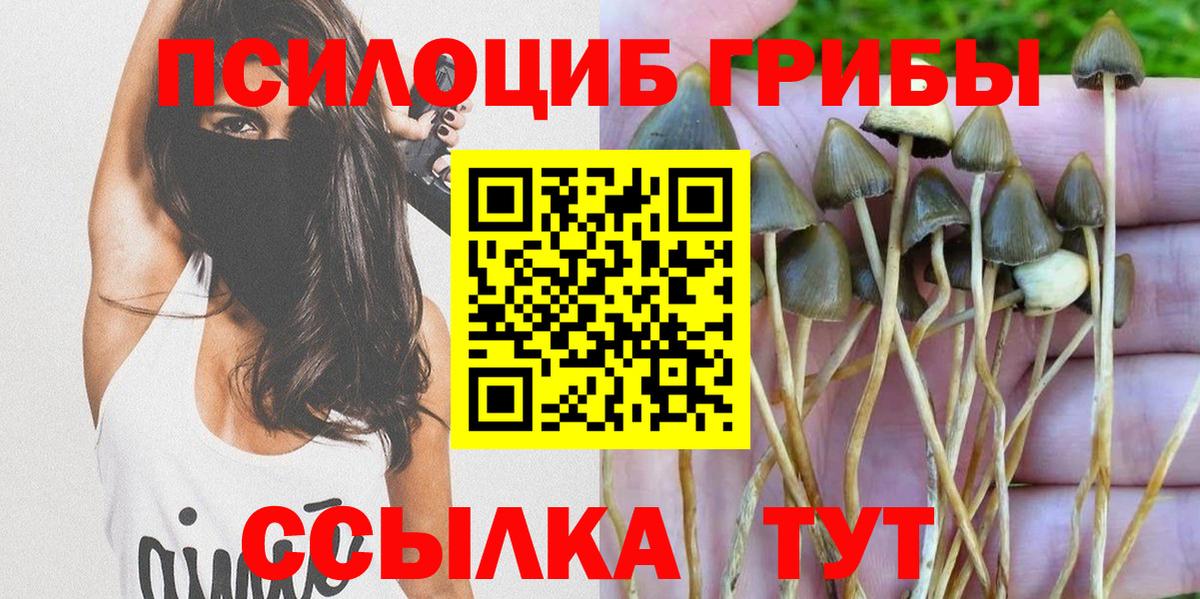 Псилоцибиновые грибы Magic Shrooms Астрахань