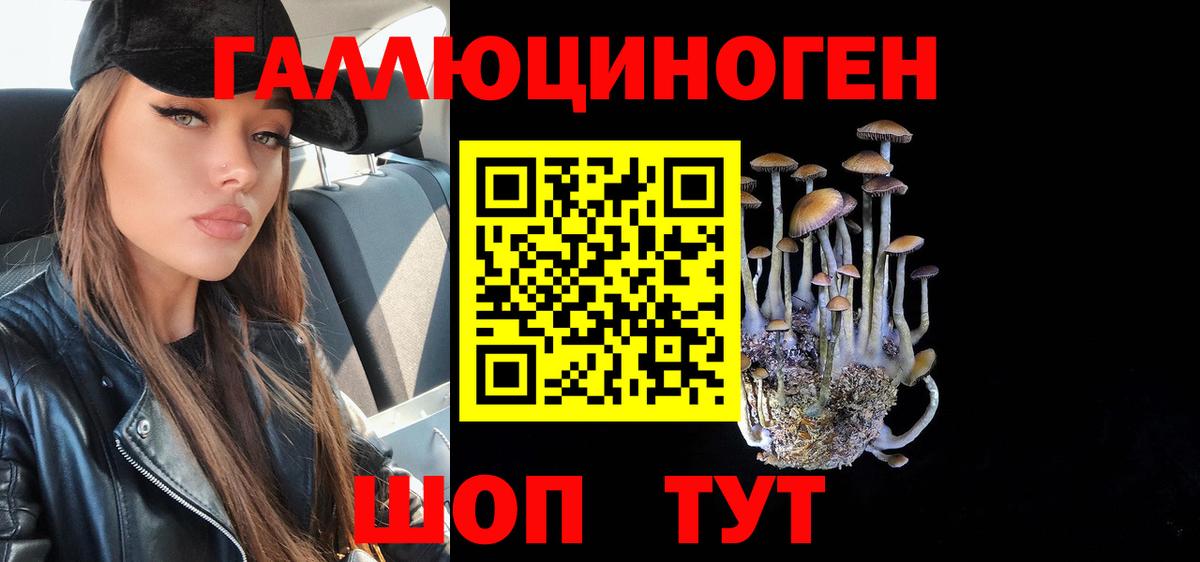 Астрахань  Псилоцибиновые грибы Cubensis  наркота  Псилоцибиновые грибы MAGIC MUSHROOMS  Вход с VPN 